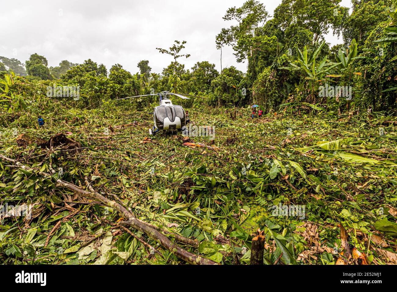 L'elicottero è fermo nella radura della foresta pluviale vicino a Buin, Bougainville, Papua Nuova Guinea, circondato da sottobosco appiattito, due figure si avvicinano al sito di atterraggio sotto un ombrello. Foto Stock