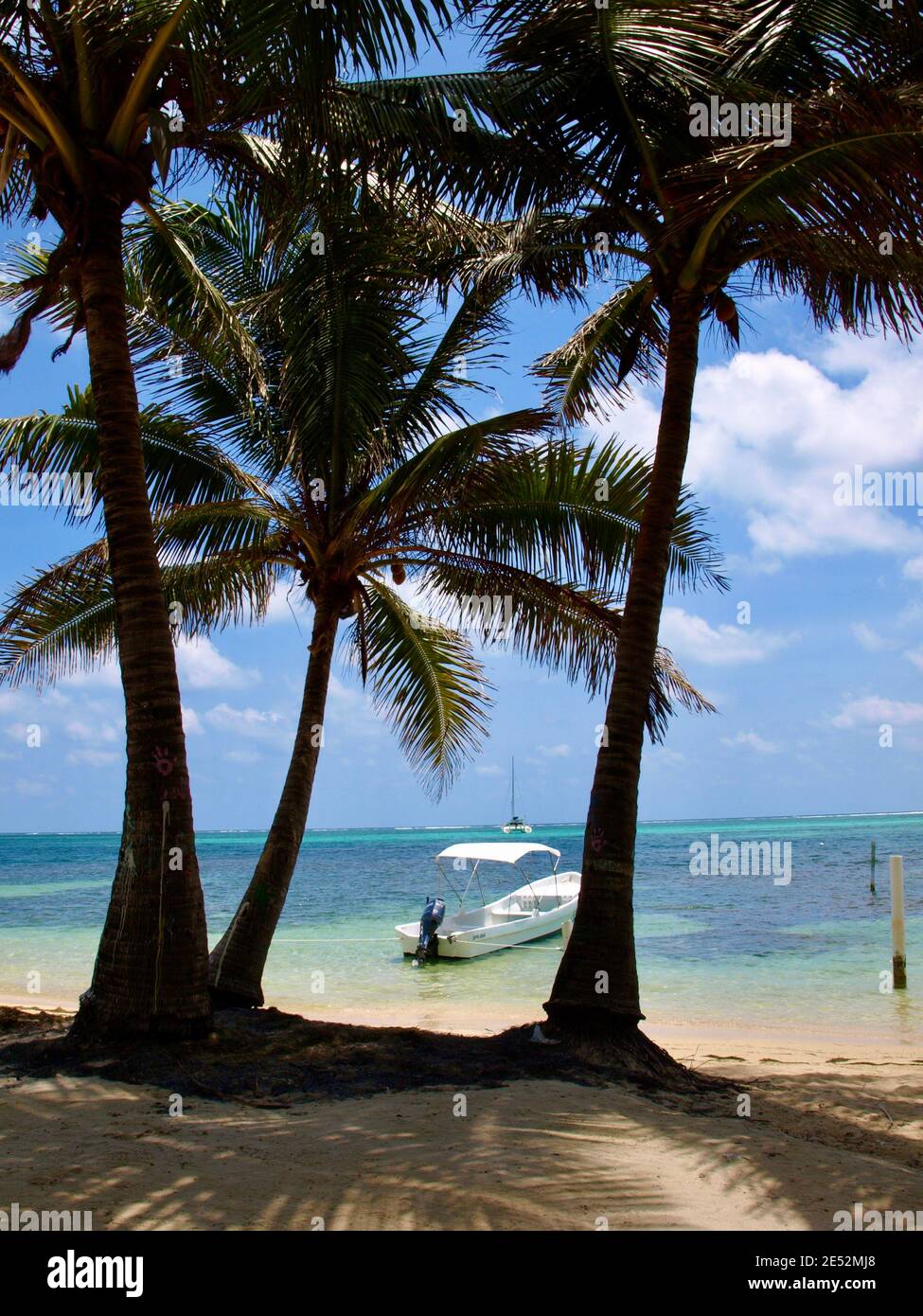 Una sola barca bianca su acque cristalline e tra palme su Ambergris Caye, Belize. Foto Stock