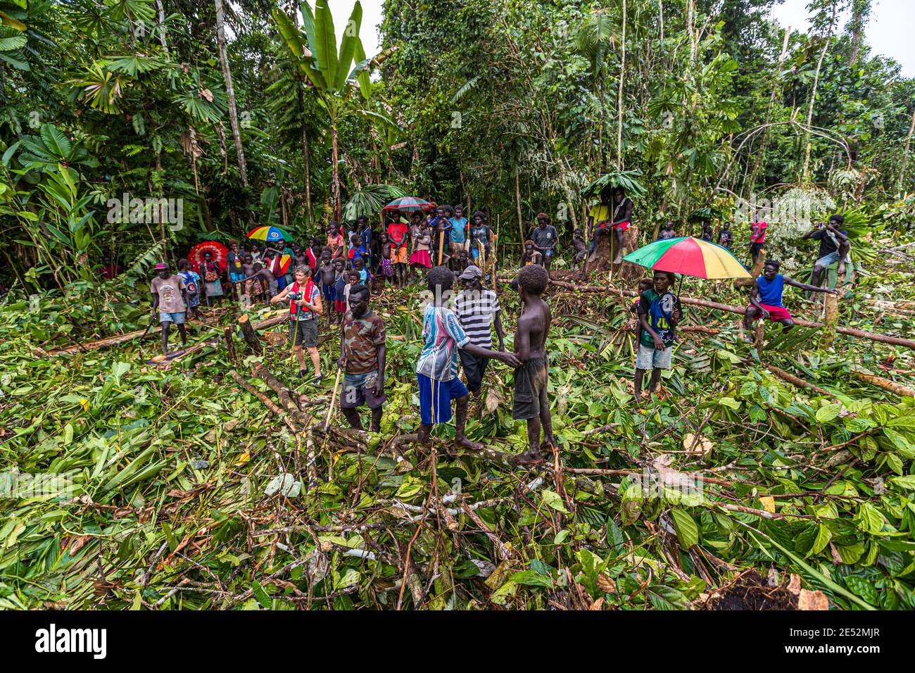 Elicottero nella giungla di Bougainville Foto Stock