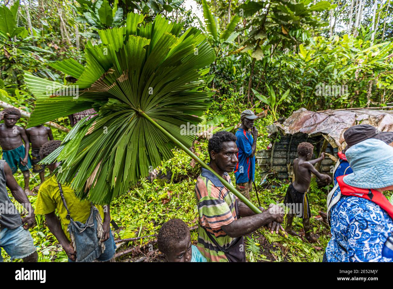 Rack di aerei dell'ammiraglio giapponese Yamamoto nella giungla di Bougainville, Papua Nuova Guinea Foto Stock