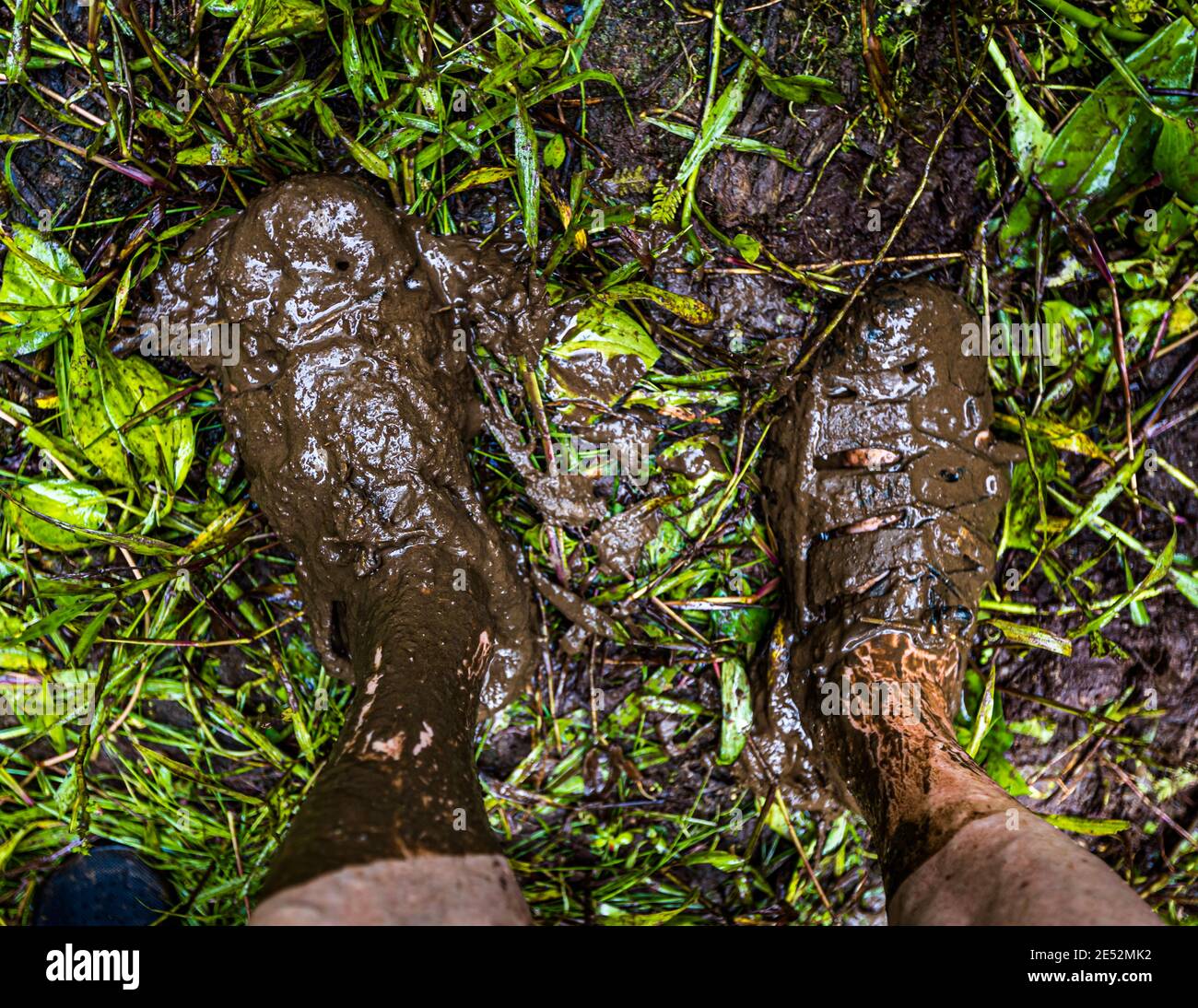 Dopo un breve periodo nella giungla di Bougainville, i sandali non possono più essere visti, Papua Nuova Guinea Foto Stock
