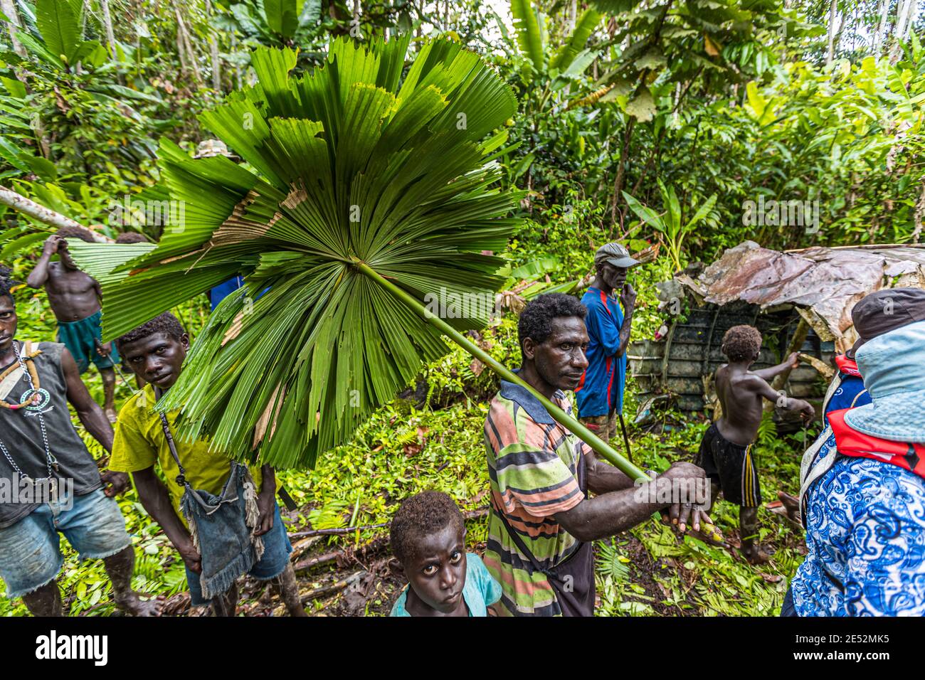 Rack di aerei dell'ammiraglio giapponese Yamamoto nella giungla di Bougainville, Papua Nuova Guinea Foto Stock