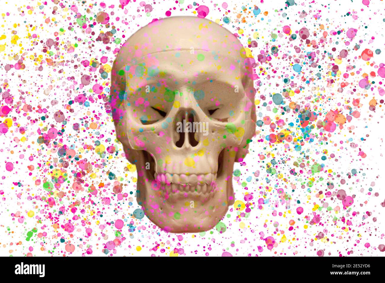 Cranio di modello piccolo con sfondo di vernice splater Foto Stock