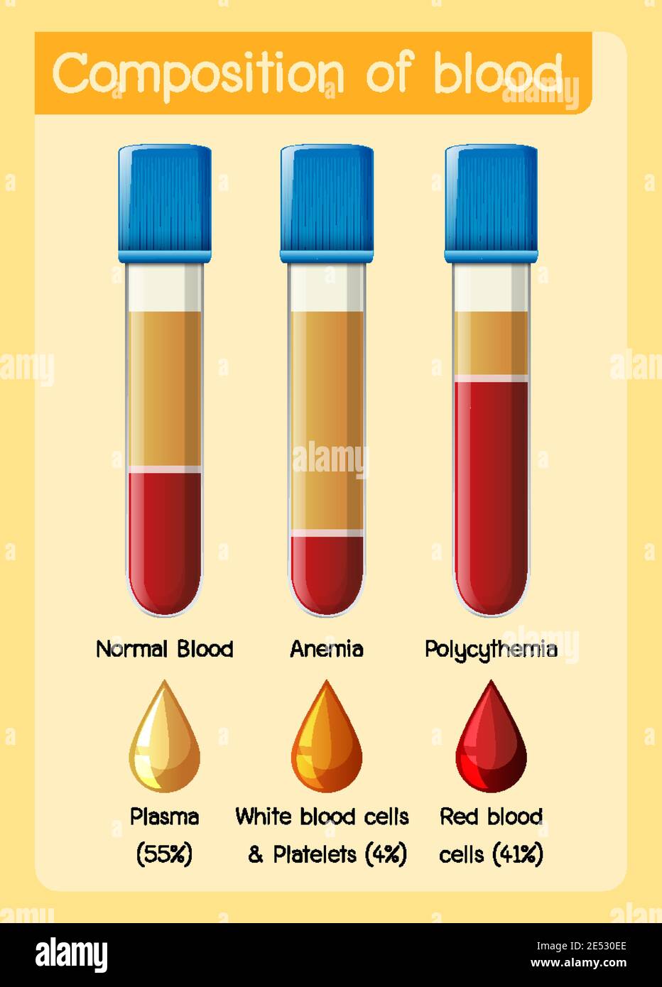 Composizione del sangue diagramma illustrativo Illustrazione Vettoriale
