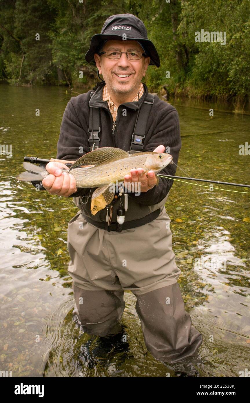 Pescatore dell'Alaska che si gode la sua cattura trofeo di un artico Grayling Sul fiume Kijik nel sud-ovest dell'Alaska alla fine di giugno Foto Stock