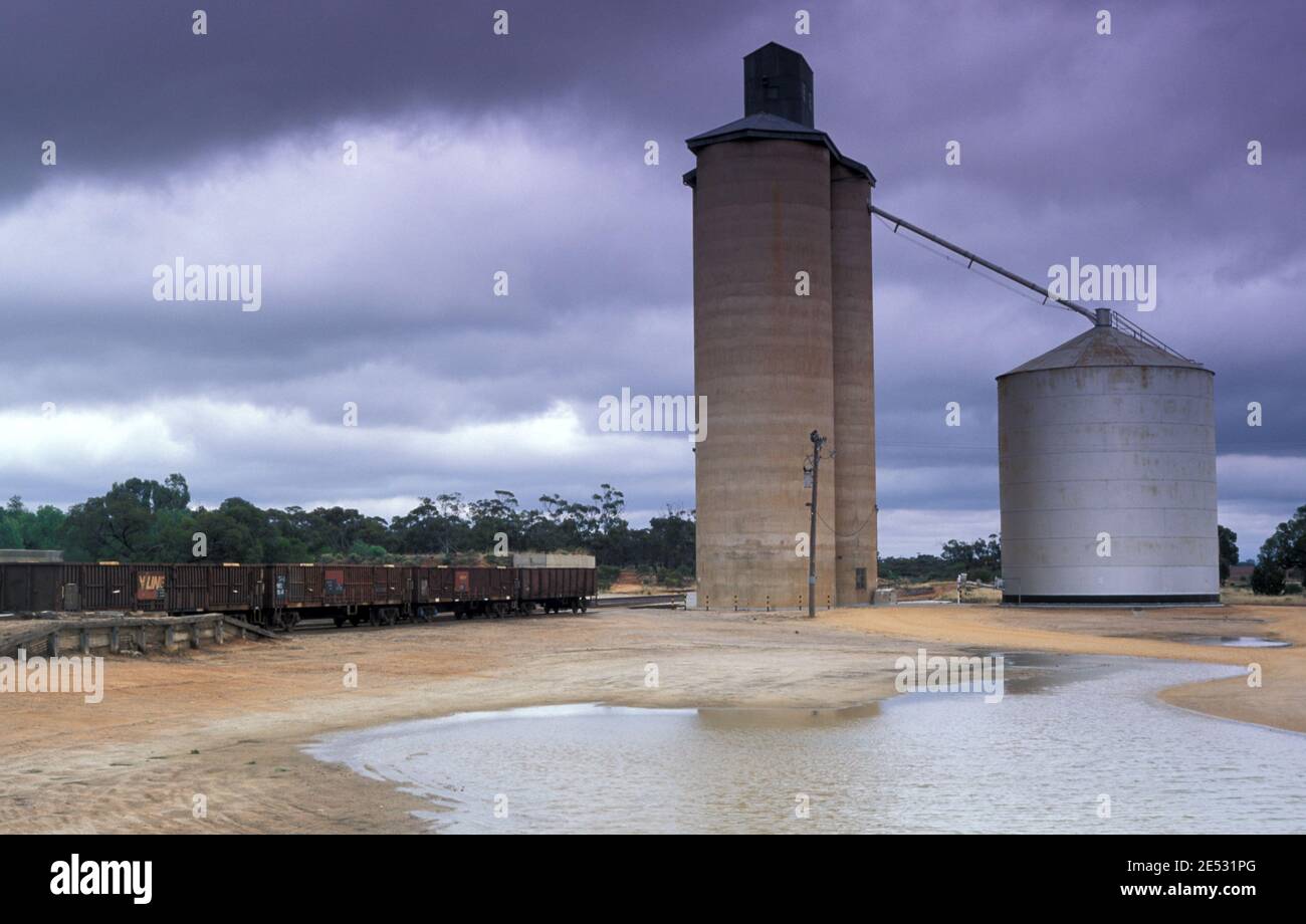 Silos di elevatore per cereali nel distretto di Mallee nell'Australia meridionale. Nuvole di tempesta in lontananza. Foto Stock
