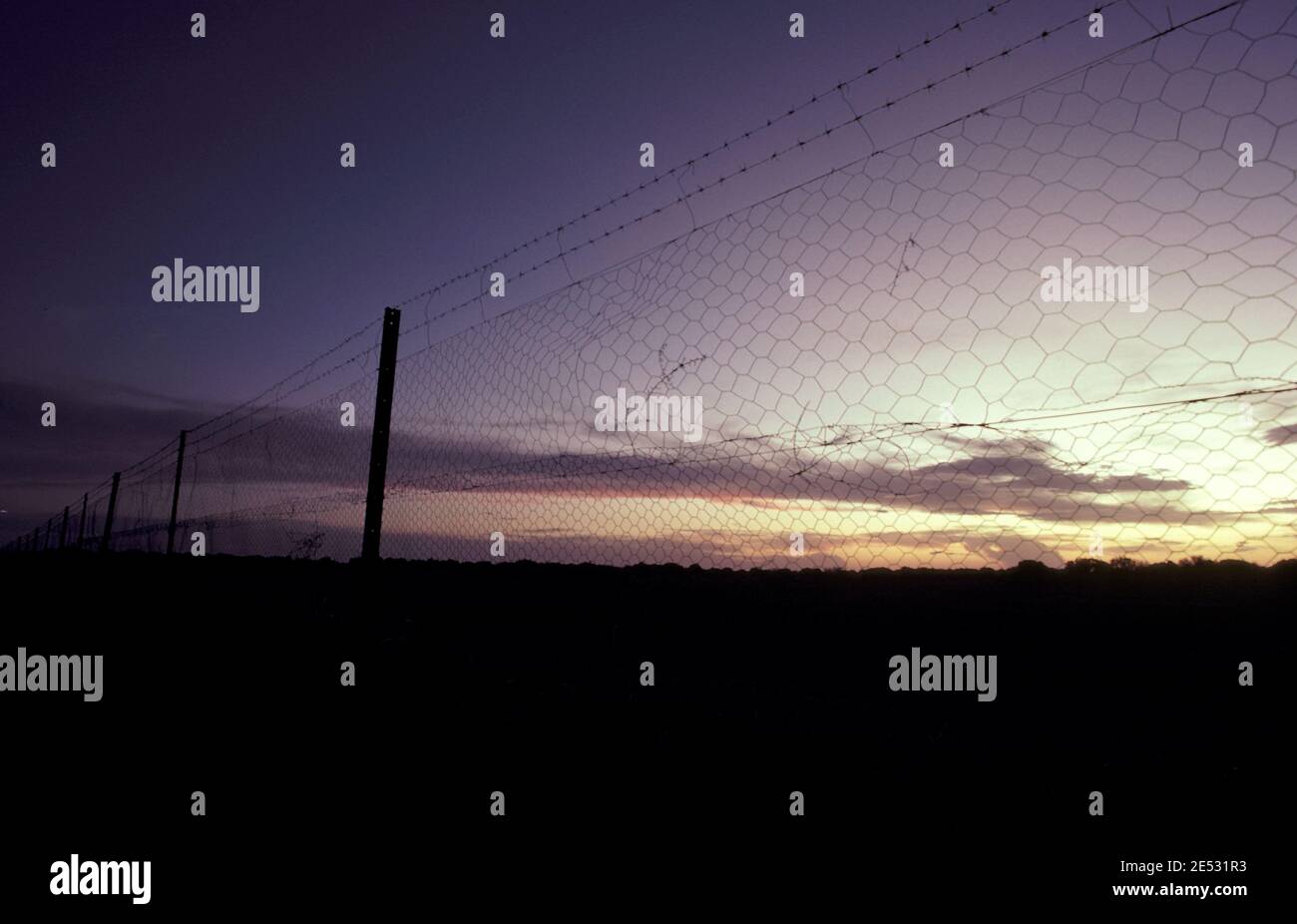 SILHOUETTE DI PARTE DI UNA SEZIONE DELLA RECINZIONE DINGO, OUTBACK AUSTRALIA. Foto Stock