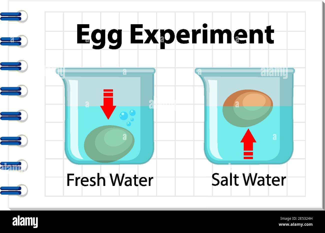 Esperimento scientifico con illustrazione del test del galleggiamento delle  uova Immagine e Vettoriale - Alamy