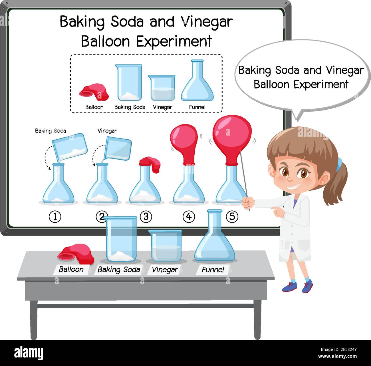 Esperimento scientifico con bicarbonato di sodio e aceto palloncino  illustrazione Immagine e Vettoriale - Alamy