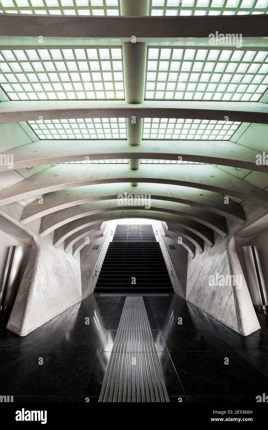Vista simmetrica di una futuristica galleria sotterranea nella ferrovia di Liège-Guillemins stazione Foto Stock
