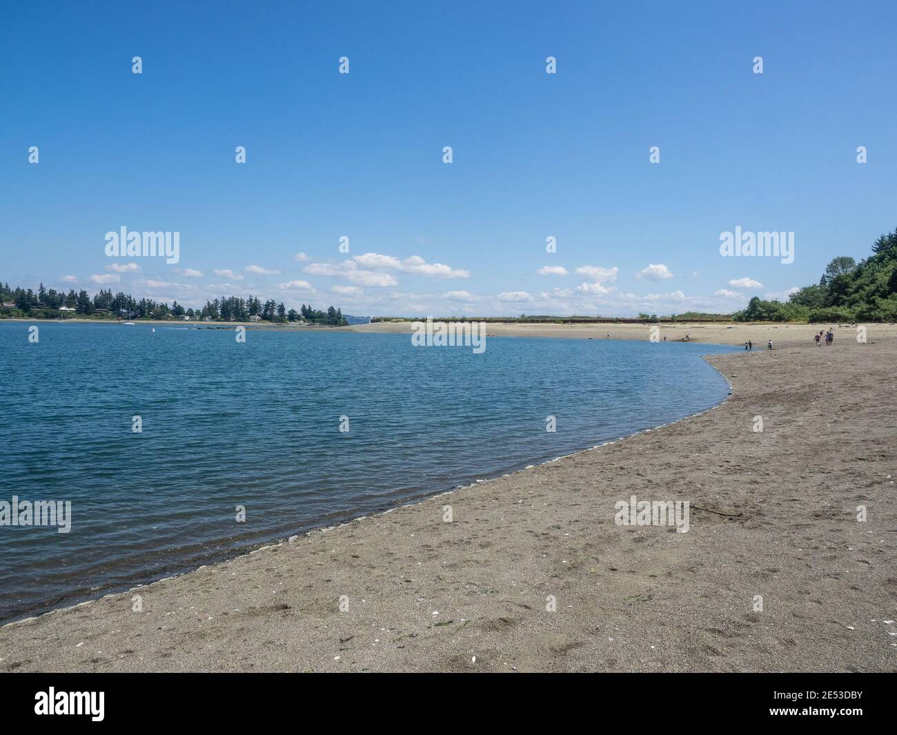 Il Pritchard Park è un sito di 20 acri (50 ettari), ex sito di pulizia ambientale Superfund, sulle rive del porto Eagle di Bainbridge Island, nello stato di Washington. Foto Stock