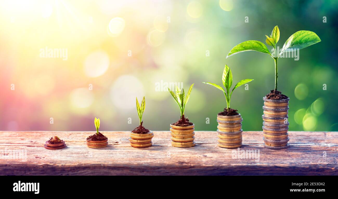 Concetto di crescita del denaro - piante su pile di moneta in aumento Foto Stock
