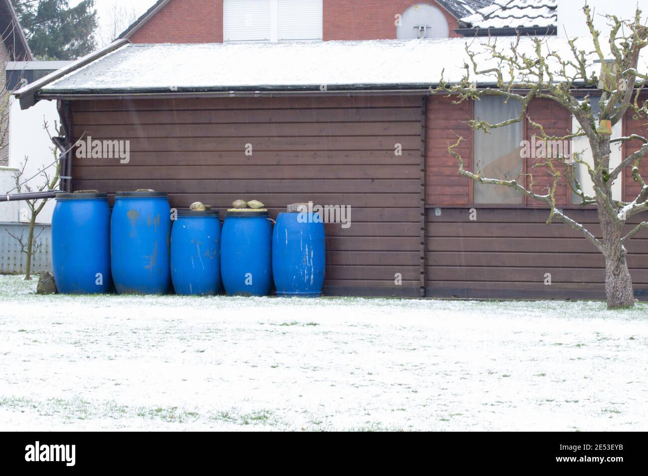 Cinque barili blu di diverse dimensioni si trovano di fronte ad una casa di legno. È inverno e c'è neve sul prato. Foto Stock