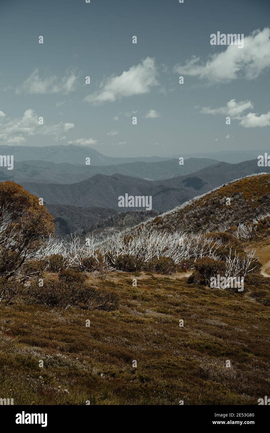 Vista sulle montagne all'inizio del Razorback Trekking Trailhead a Monte piuma. Preso dalla strada vicino a Mount Hotham Summit Area. Foto Stock