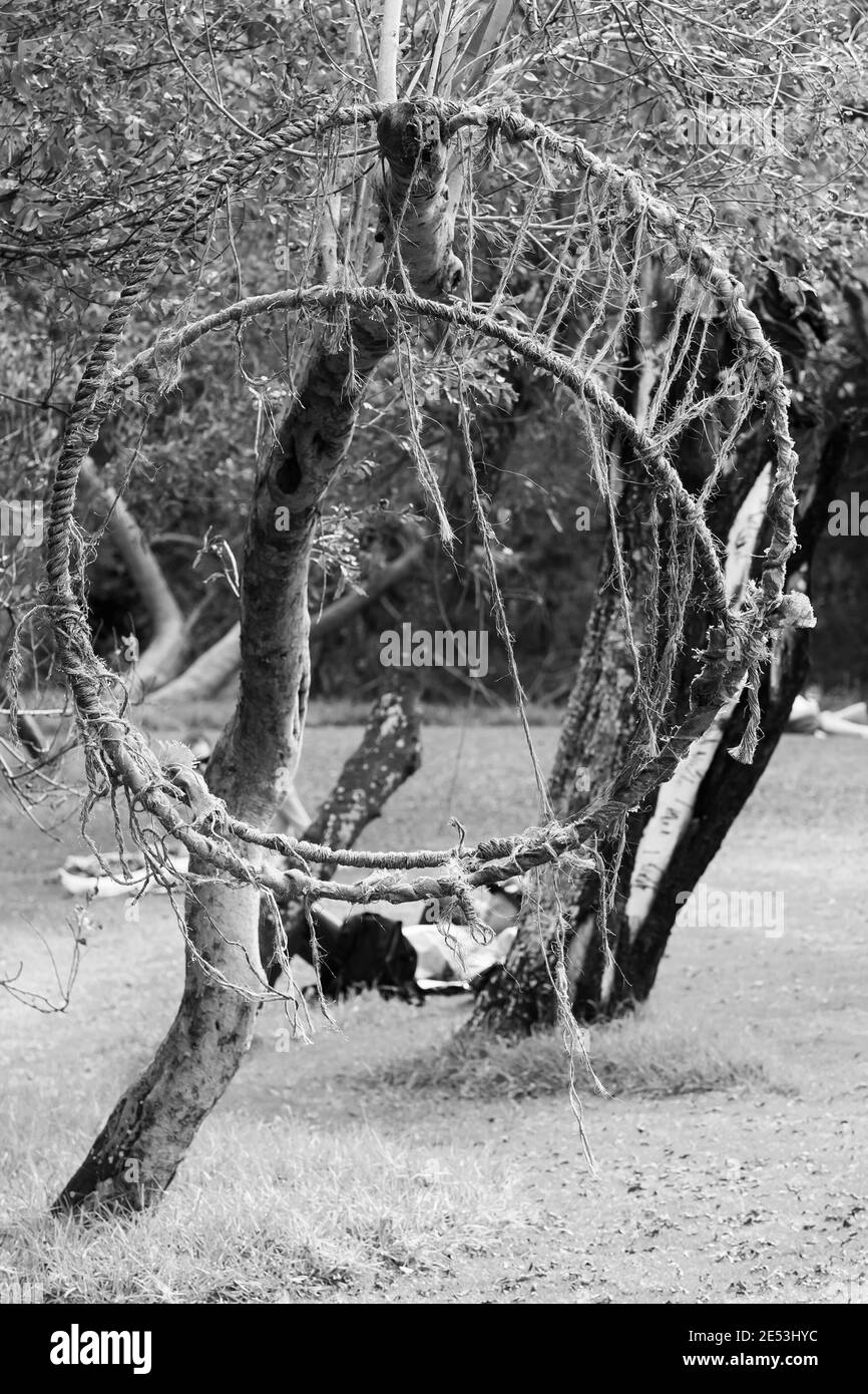 JOHANNESBURG, SUDAFRICA - 05 gennaio 2021: Johannesburg, Sudafrica - 09 2015 maggio: Mostra di sculture d'arte all'aperto al Nirox Park Foto Stock