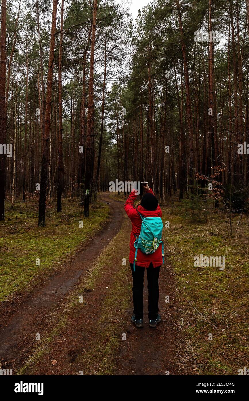 Vista posteriore della sola donna turistica a piedi attraverso la foresta invernale. La ragazza fece foto degli alberi e del cielo. Foto Stock