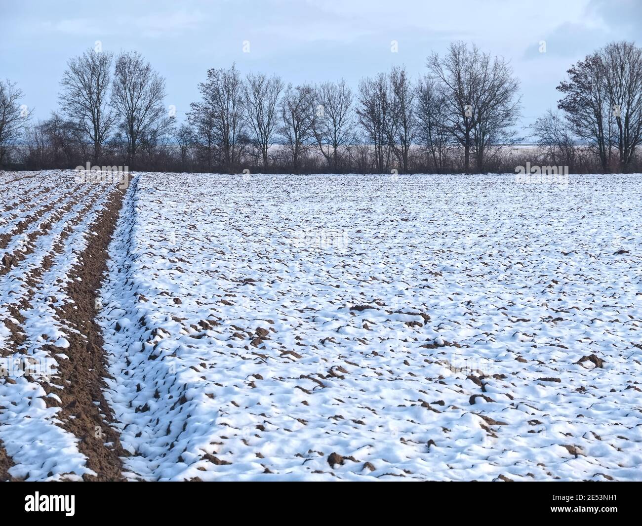 Paesaggio innevato in Germania, Rhein Kreis Neuss in inverno con campi agricoli e alberi Foto Stock