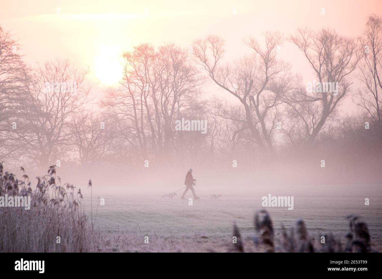 Amburgo, Germania. 26 gennaio 2021. Un uomo cammina con due cani attraverso un prato ghiacciato all'alba e nebbia leggera nella riserva naturale Boberger Niederung nel quartiere di Billwerder. Credit: Daniel Bockwoldt/dpa/Alamy Live News Foto Stock