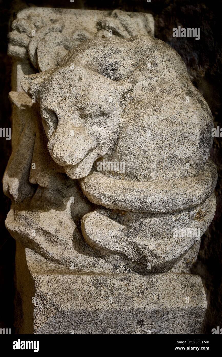 Grottesco o gargoyle di pietra calcarea intagliata con una bestia di arrampicata intrecciata di coda Foto Stock