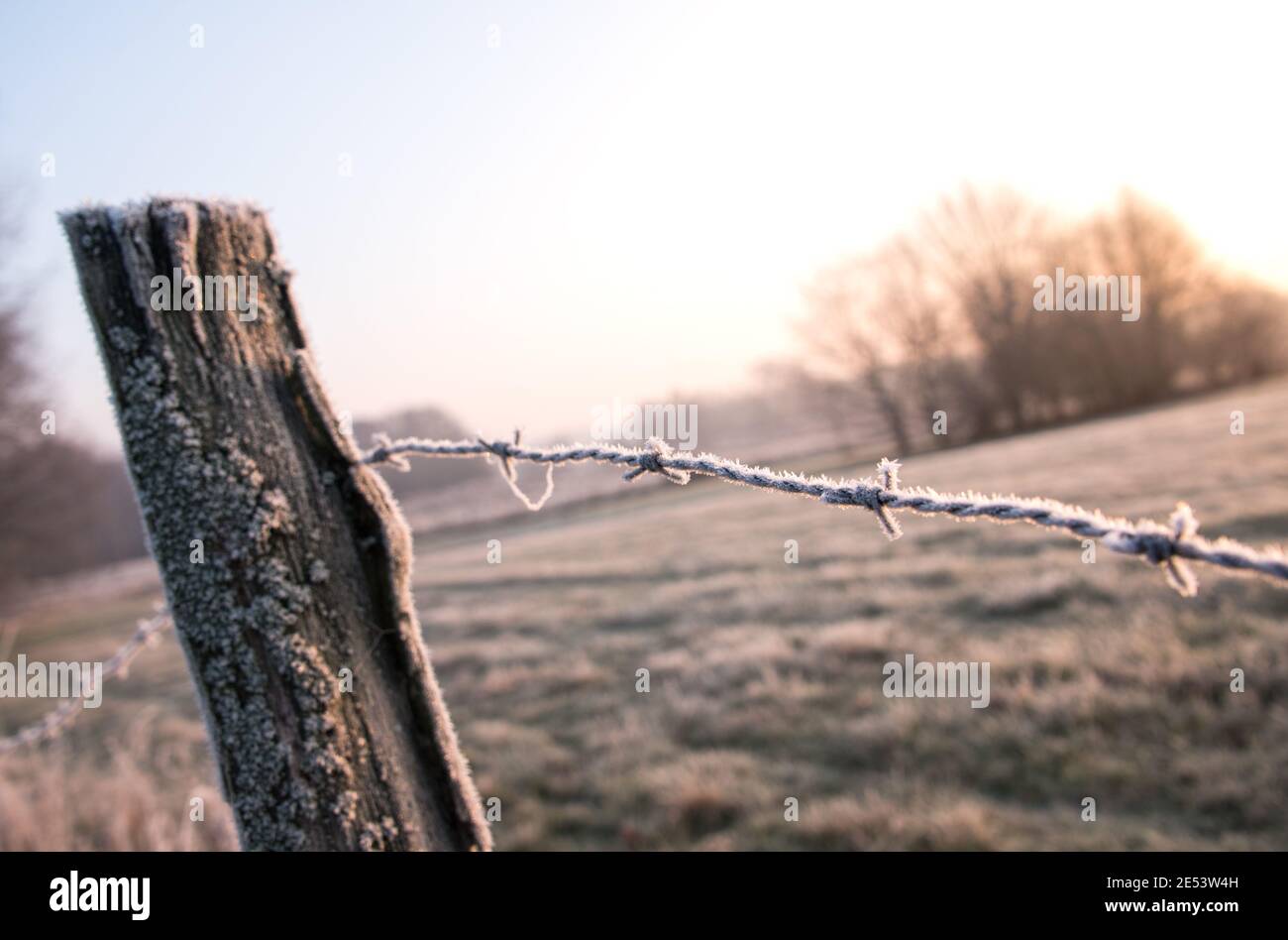 Amburgo, Germania. 26 gennaio 2021. Una recinzione pascolo è coperta di ghiaccio nel distretto di Billwerder, nella riserva naturale Boberger Niederung. Credit: Daniel Bockwoldt/dpa/Alamy Live News Foto Stock