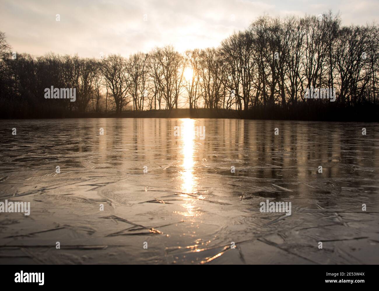 Amburgo, Germania. 26 gennaio 2021. Un lago è coperto da un sottile strato di ghiaccio nel distretto di Billwerder, nella riserva naturale Boberger Niederung. Credit: Daniel Bockwoldt/dpa/Alamy Live News Foto Stock