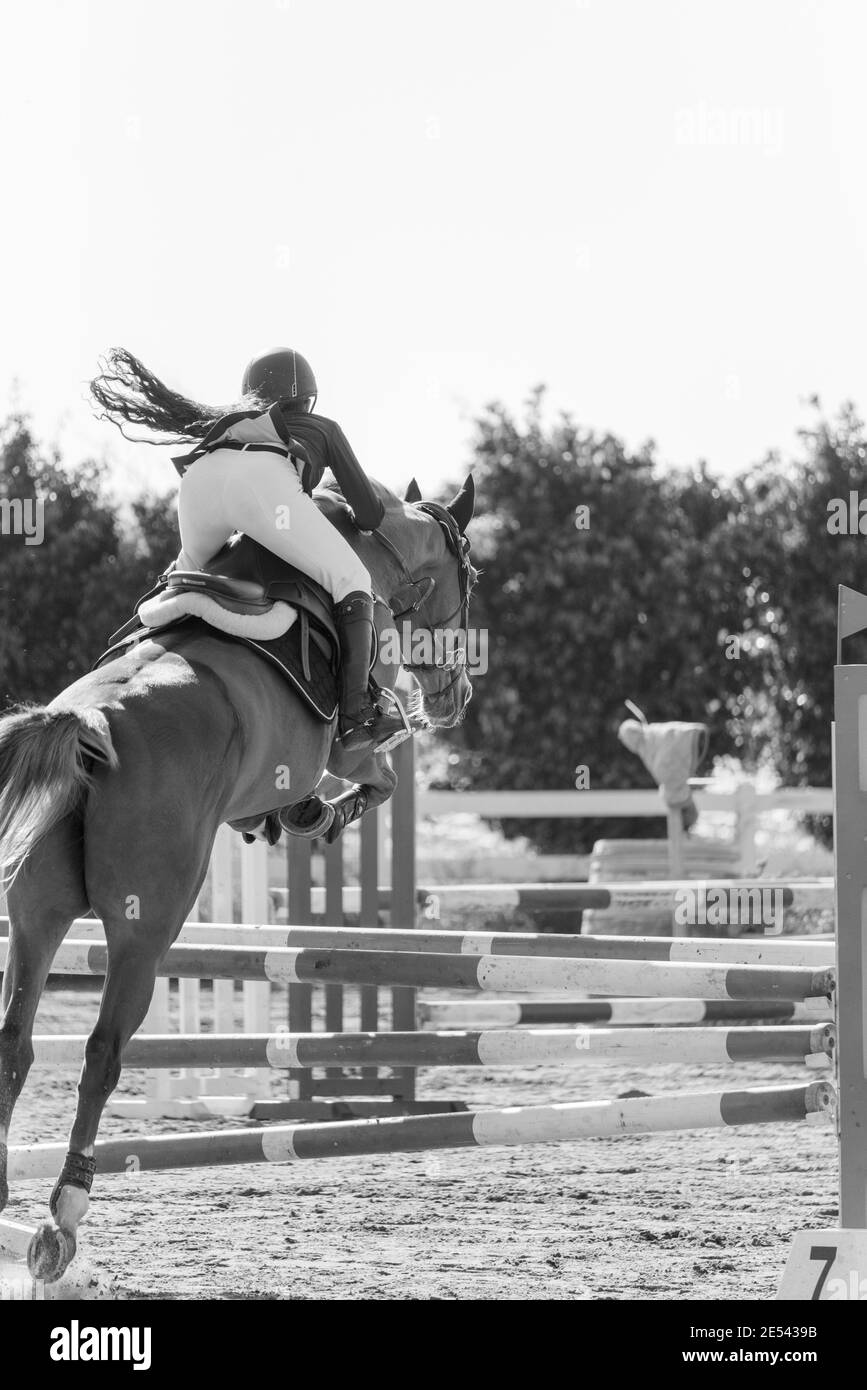 Campionato Israel Horse Jumping 2019 Foto Stock