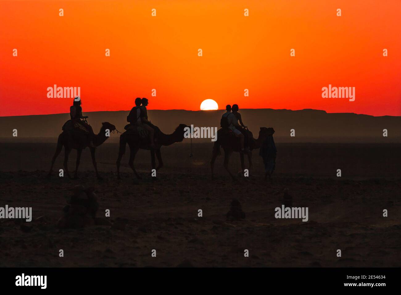 Giro in cammello al tramonto (Merzouga, Sahara) Foto Stock