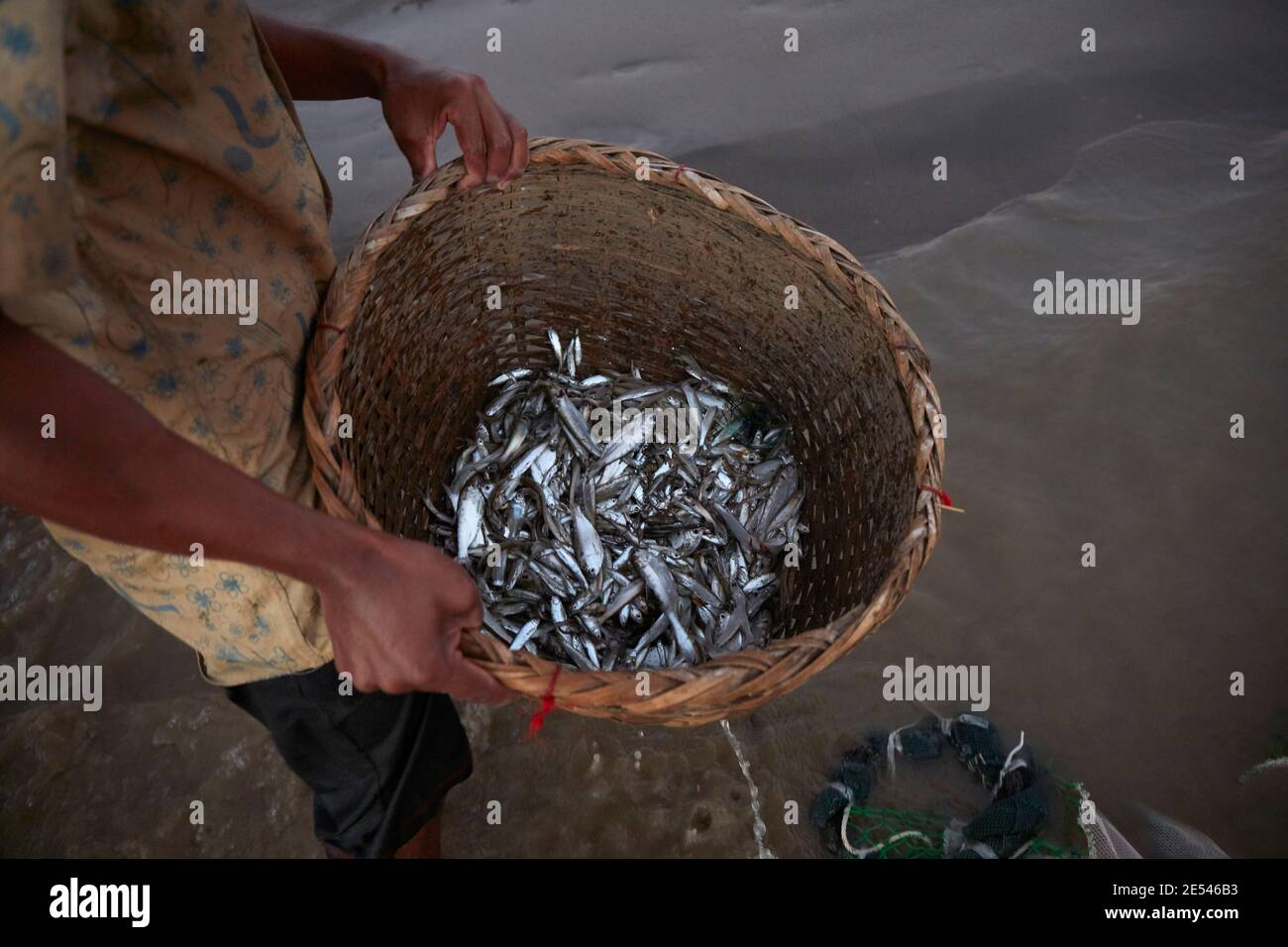 Un pescatore del fiume Irrawaddy mostra la cattura del giorno, Bagan, Myanmar. Foto Stock