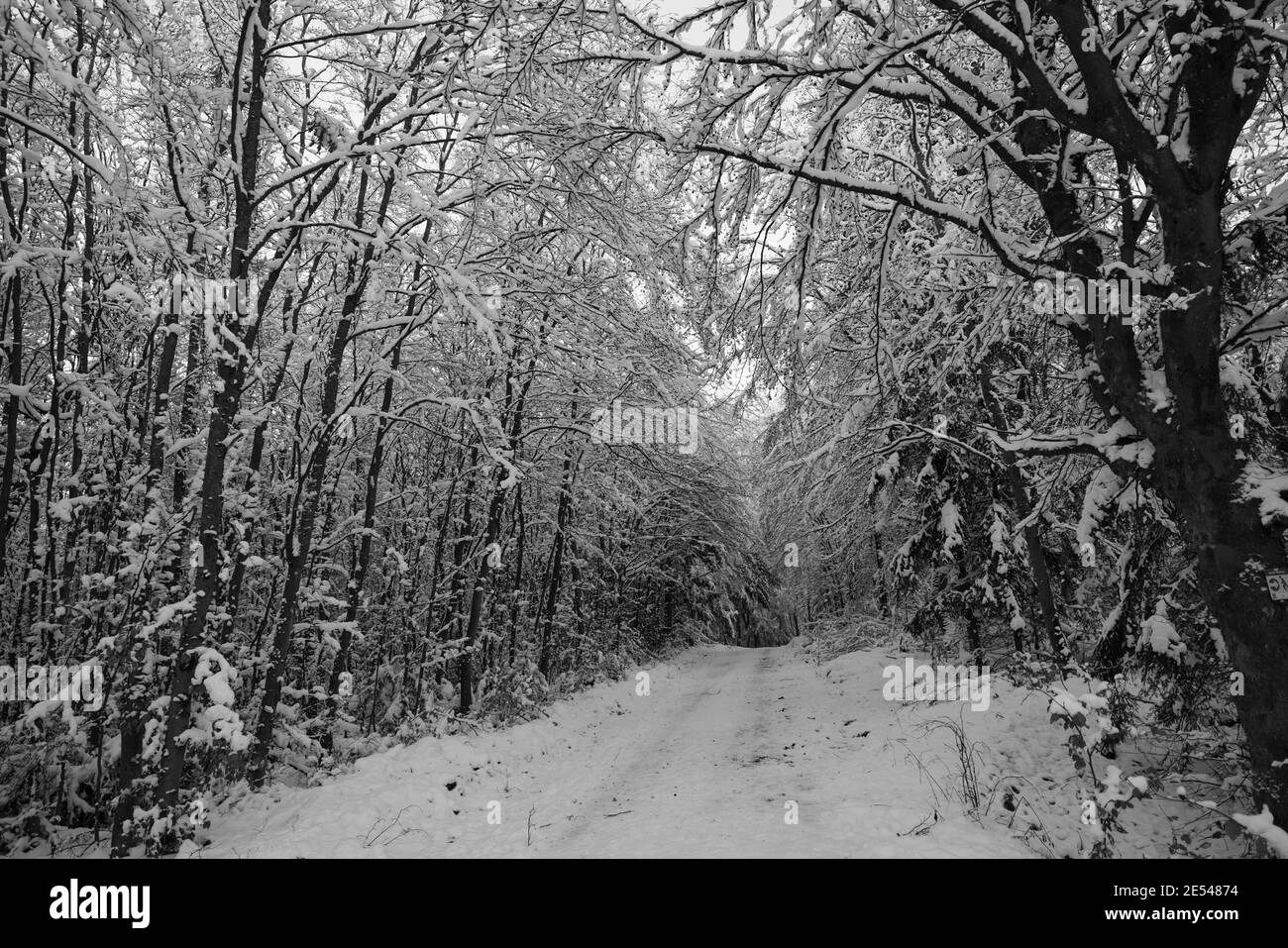 Winter Wonderland in Germania con neve Foto Stock