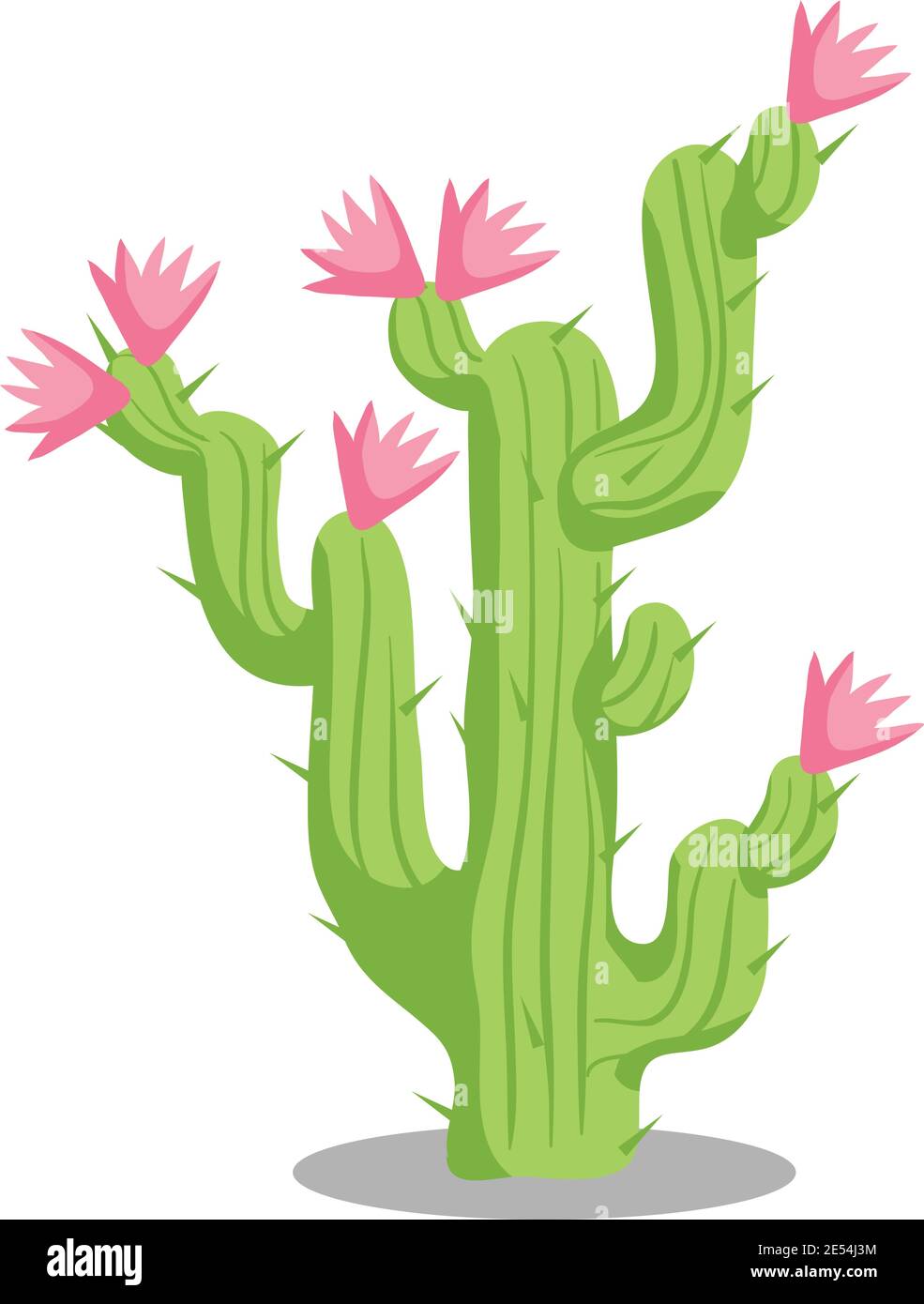 Illustrazione dello stock di piante del deserto di Cactus, isolato su sfondo bianco Illustrazione Vettoriale