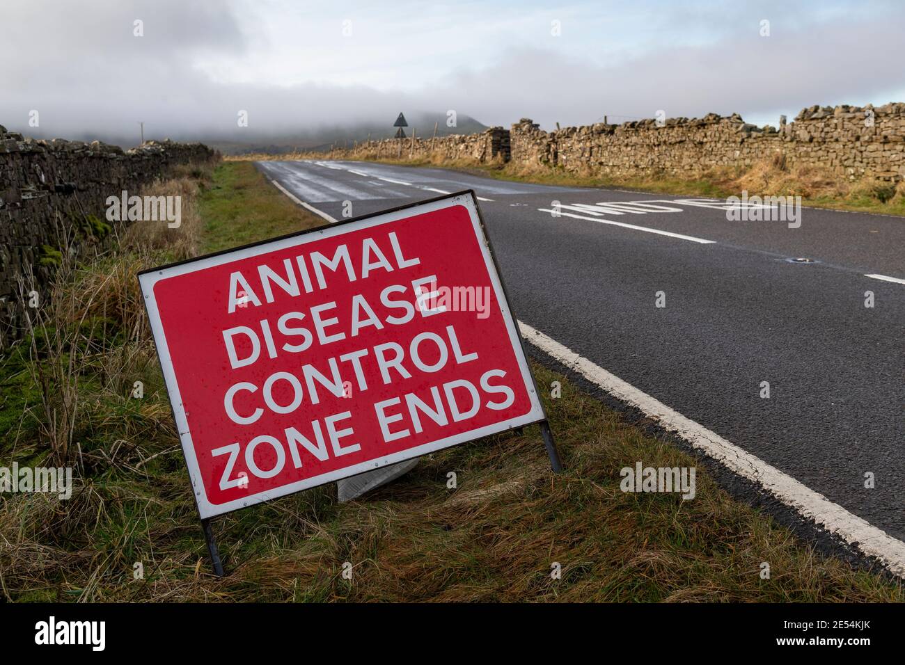 Cartello dell'area di controllo delle malattie animali a Wensleydale, parte dell'epidemia di influenza aviaria alla fine del 2020, Regno Unito. Foto Stock