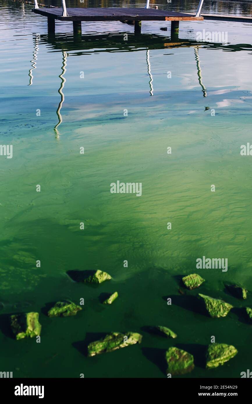 Paesaggio verticale di acqua fluviale con fiori di alghe, rocce e riflesso di pierce di molo in legno, blu naturale e gradiente verde Foto Stock