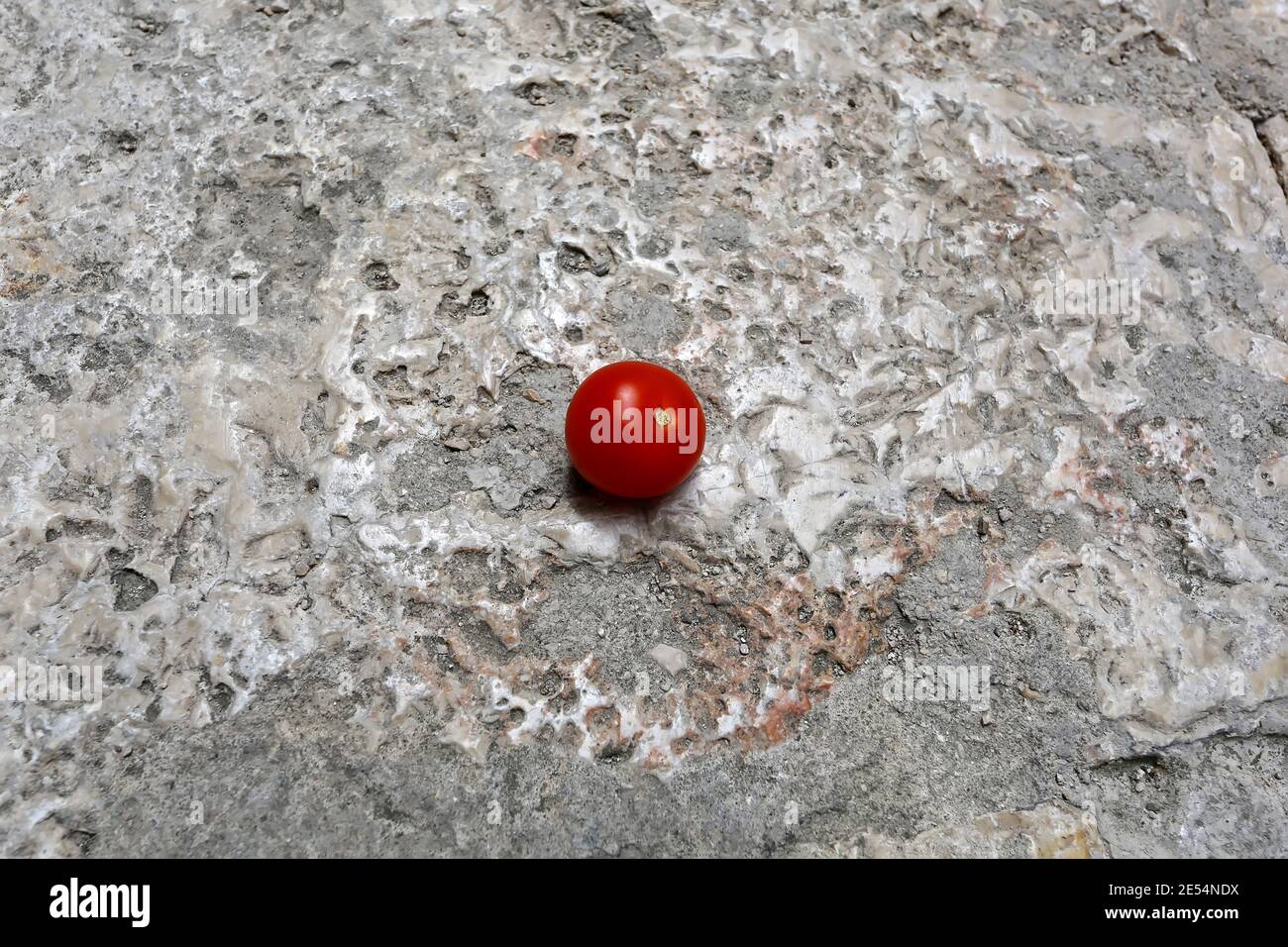Un pomodoro maturo rotondo gettato in cemento grigio, concetto minimalista Foto Stock
