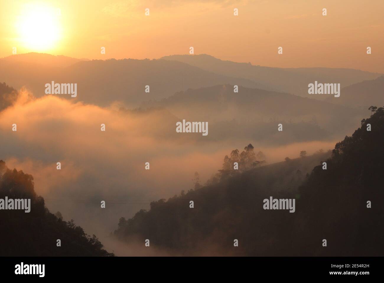 Il sole sorge sulle montagne ricoperte di nebbia del Bwindi Foresta impenetrabile in Uganda Foto Stock