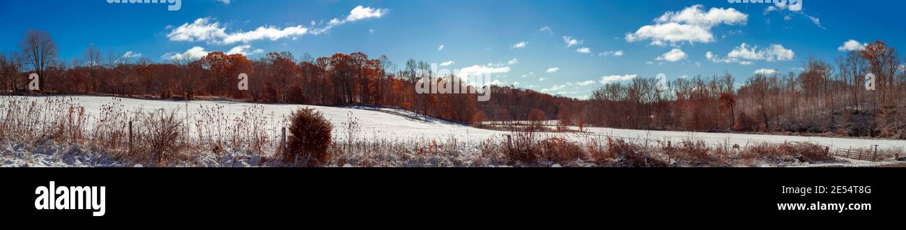 Un panorama in formato 1:4 di boschi che mostrano colori autunnali con un fresco stemma di neve sul terreno e un cielo blu con nubi soffici. Foto Stock