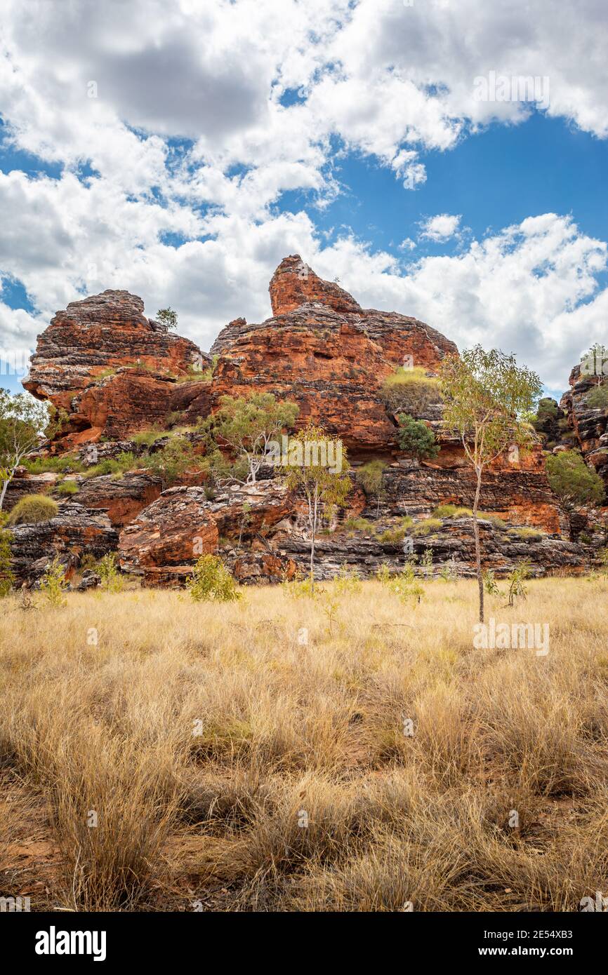 Pasticciare Bungles, Parco Nazionale di Purmululu, Kimberley, Australia occidentale Foto Stock