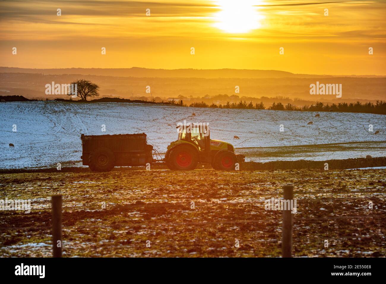 Il lavoro degli agricoltori non viene mai svolto nemmeno in ritardo il sole di pomeriggio di inverno che lavora la terra con il trattore e. Spanditore in alto sul Lancashir Foto Stock