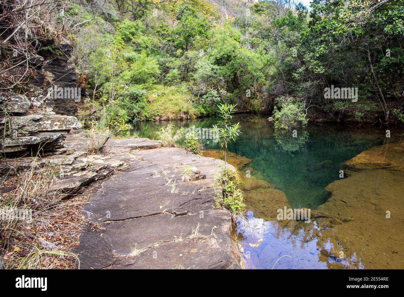 Una piscina profonda, isolata e colorata in teal, circondata dalla fitta foresta pluviale fluviale del fiume Kadishi nel Blydepoort Canyon, Sudafrica Foto Stock