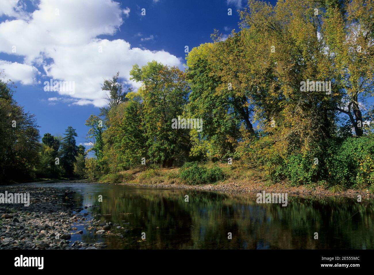 Fiume Calapooia, McKercher Park, Linn County, Oregon Foto Stock