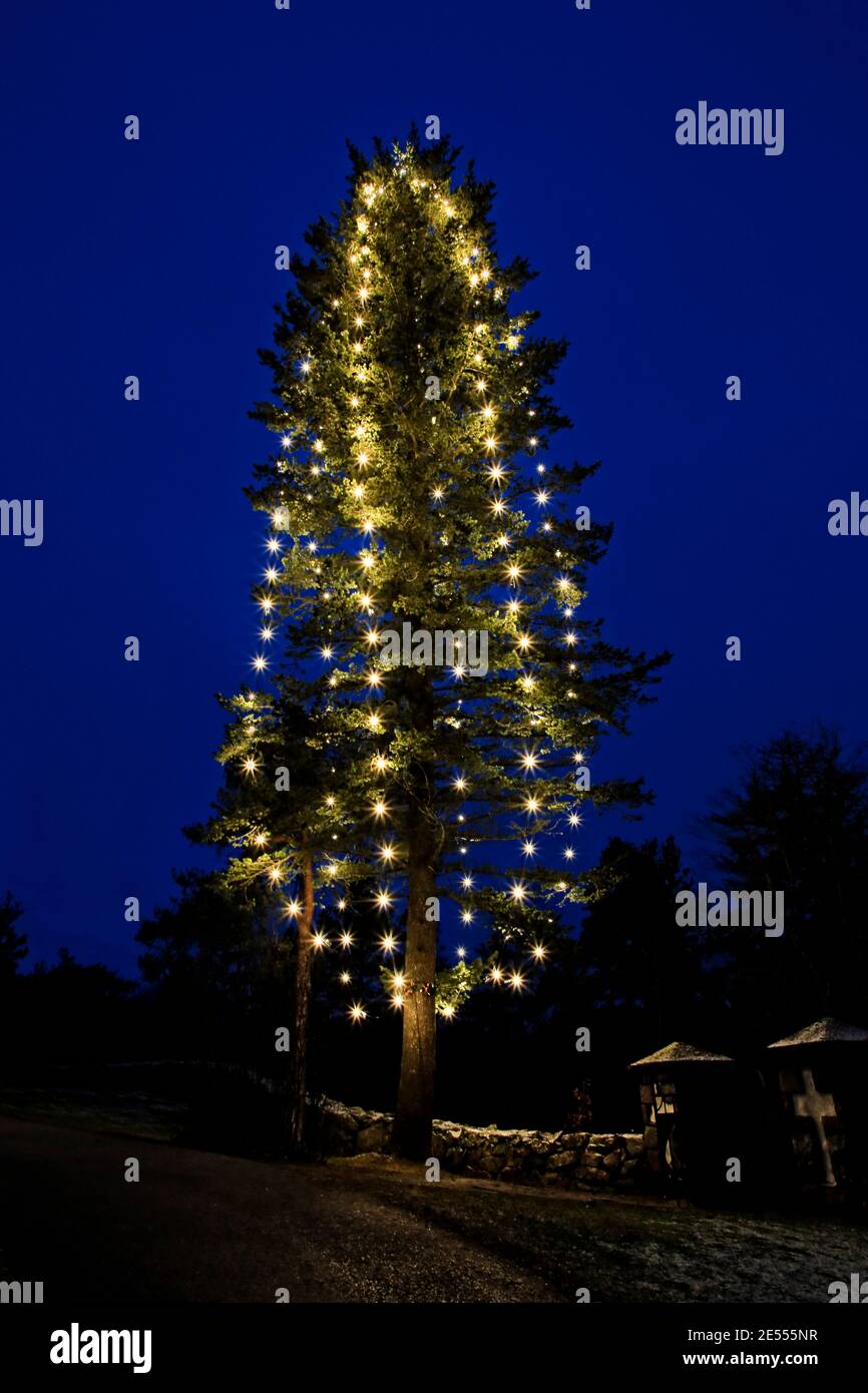 Albero di Christmas illuminato dalla Chiesa di Uskela nell'ora blu della mattina presto a Natale. Salo, Finlandia. 2020. Foto Stock