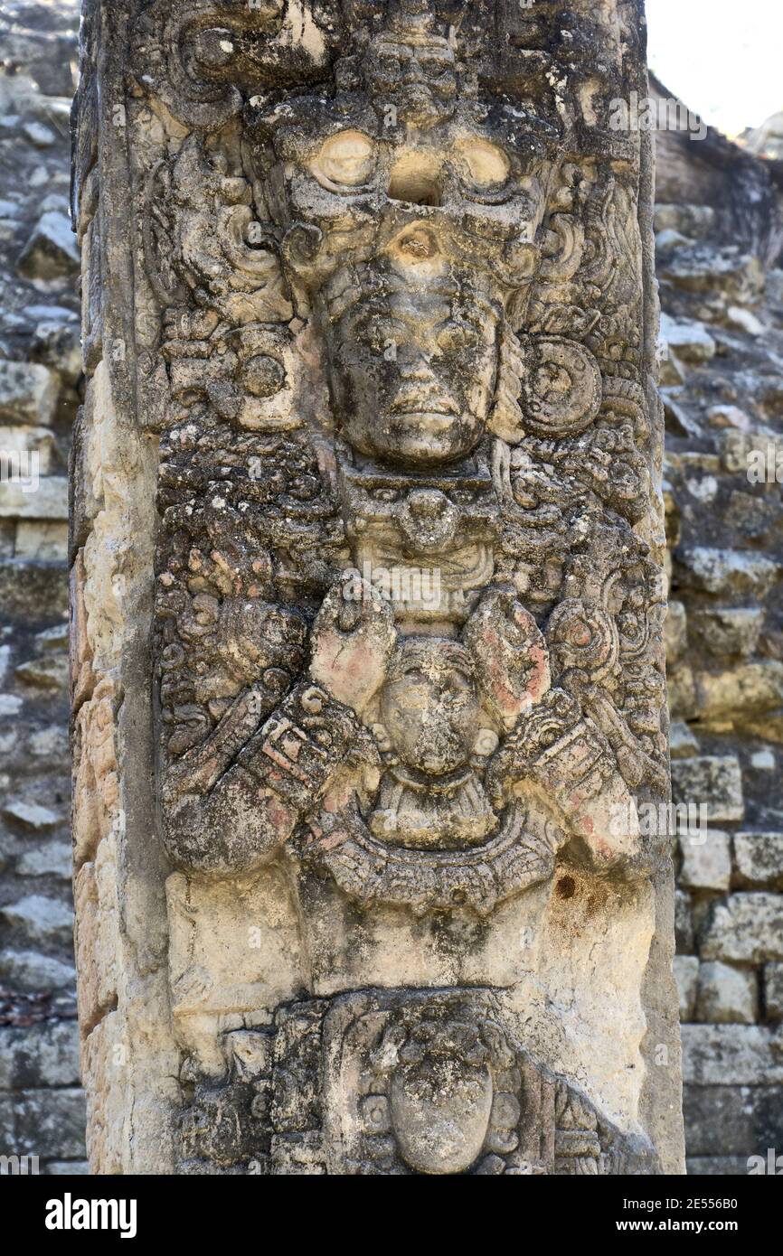 Copan, Honduras, America Centrale: Stela del governatore maya in Copan. Copan è un sito archeologico della civiltà Maya vicino al Guatemala Foto Stock