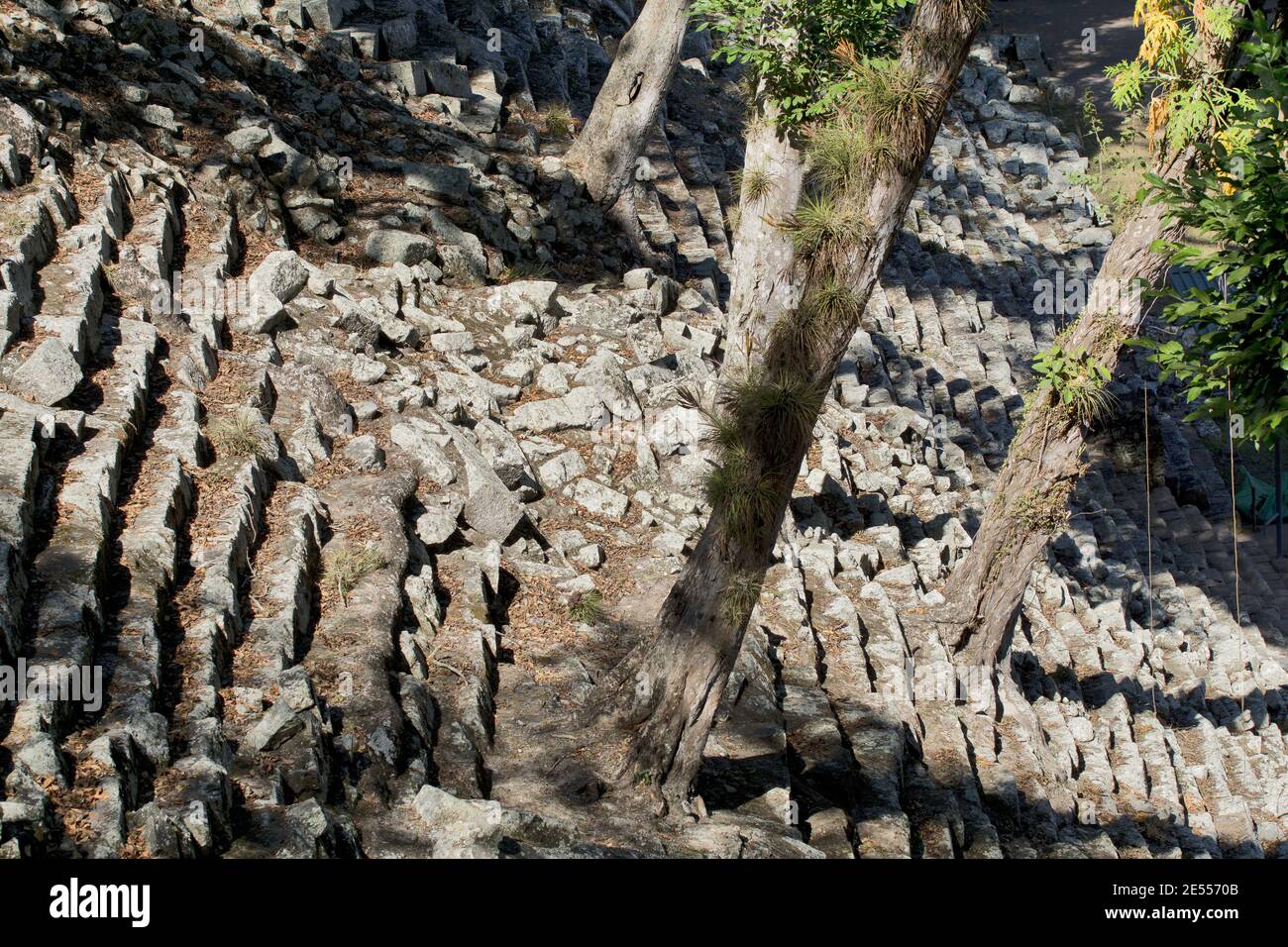 Copan, Honduras, America Centrale: Siti antichi (tempio, piramide) in Copan. Copan è un sito archeologico della civiltà Maya vicino al Guatemala Foto Stock