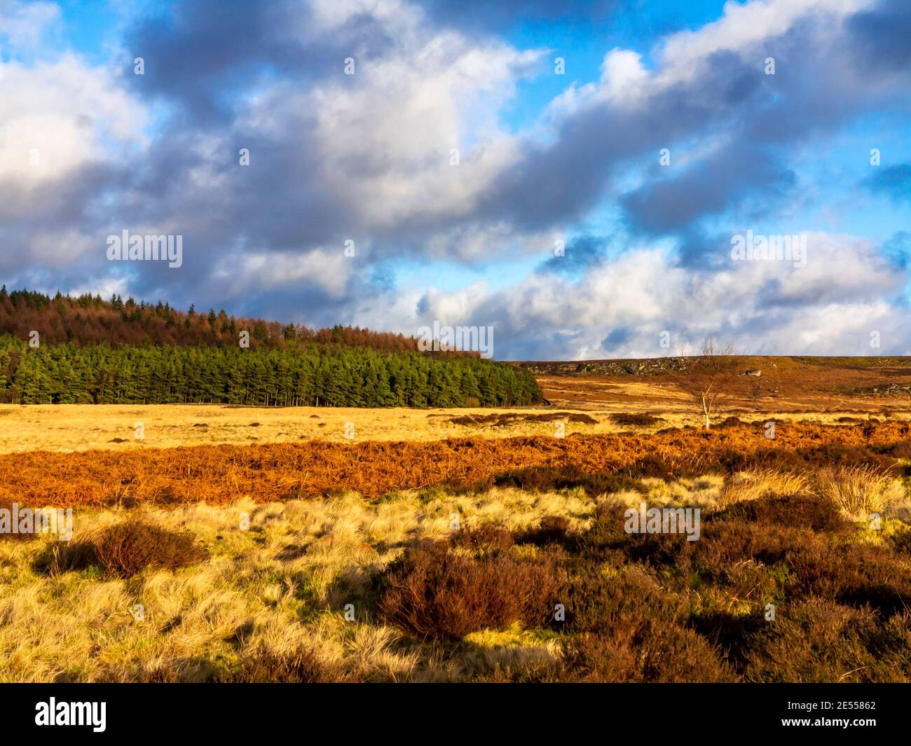 Paesaggio invernale con cielo suggestivo a Beeley Moor vicino a Bakewell Nel Peak District National Park Derbyshire Inghilterra Regno Unito Foto Stock