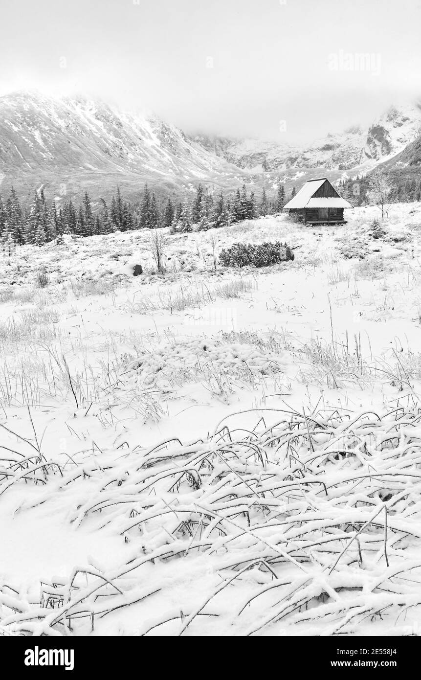 Foto in bianco e nero della Valle di Gasienicowa (Hala Gasienicowa) con capanna di legno durante l'inverno innevato, Monti Tatra, Polonia. Foto Stock