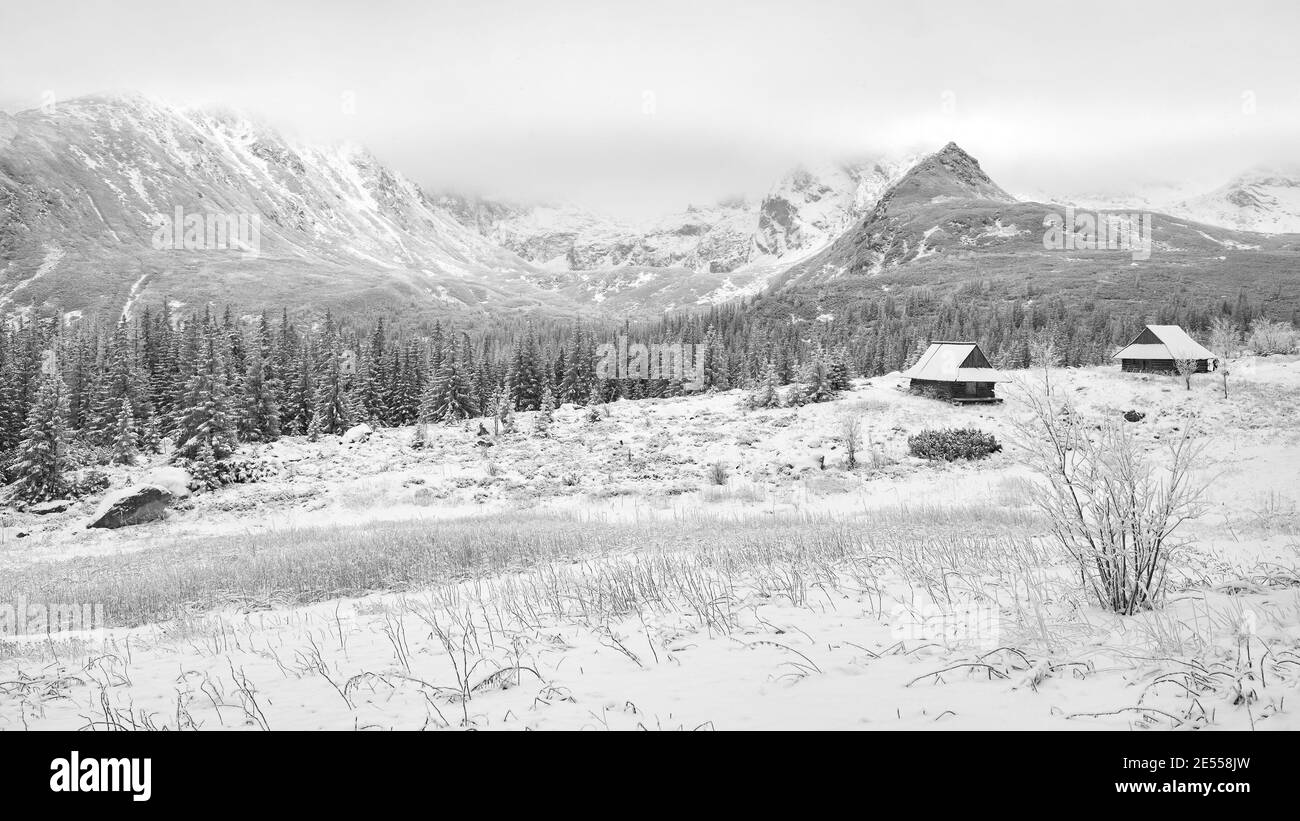 Foto in bianco e nero della Valle di Gasienicowa (Hala Gasienicowa) durante l'inverno innevato, Monti Tatra, Polonia. Foto Stock