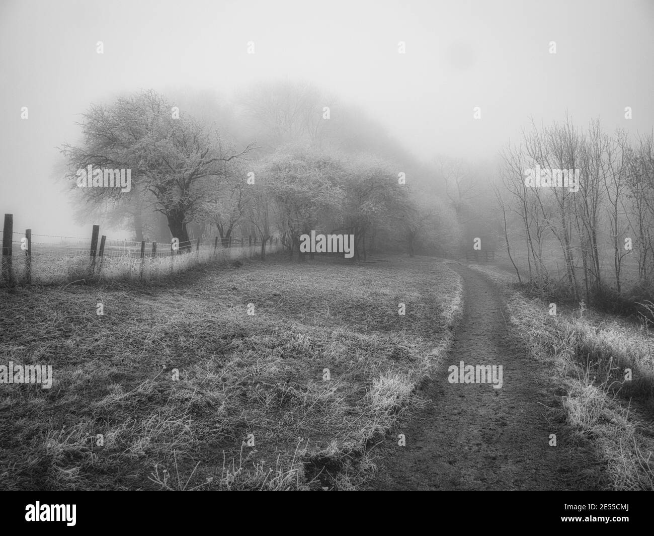 Paesaggi invernali nel sud dell'Inghilterra Regno Unito Frosty, campi di campagna innevati con alberi e recinzioni Foto Stock