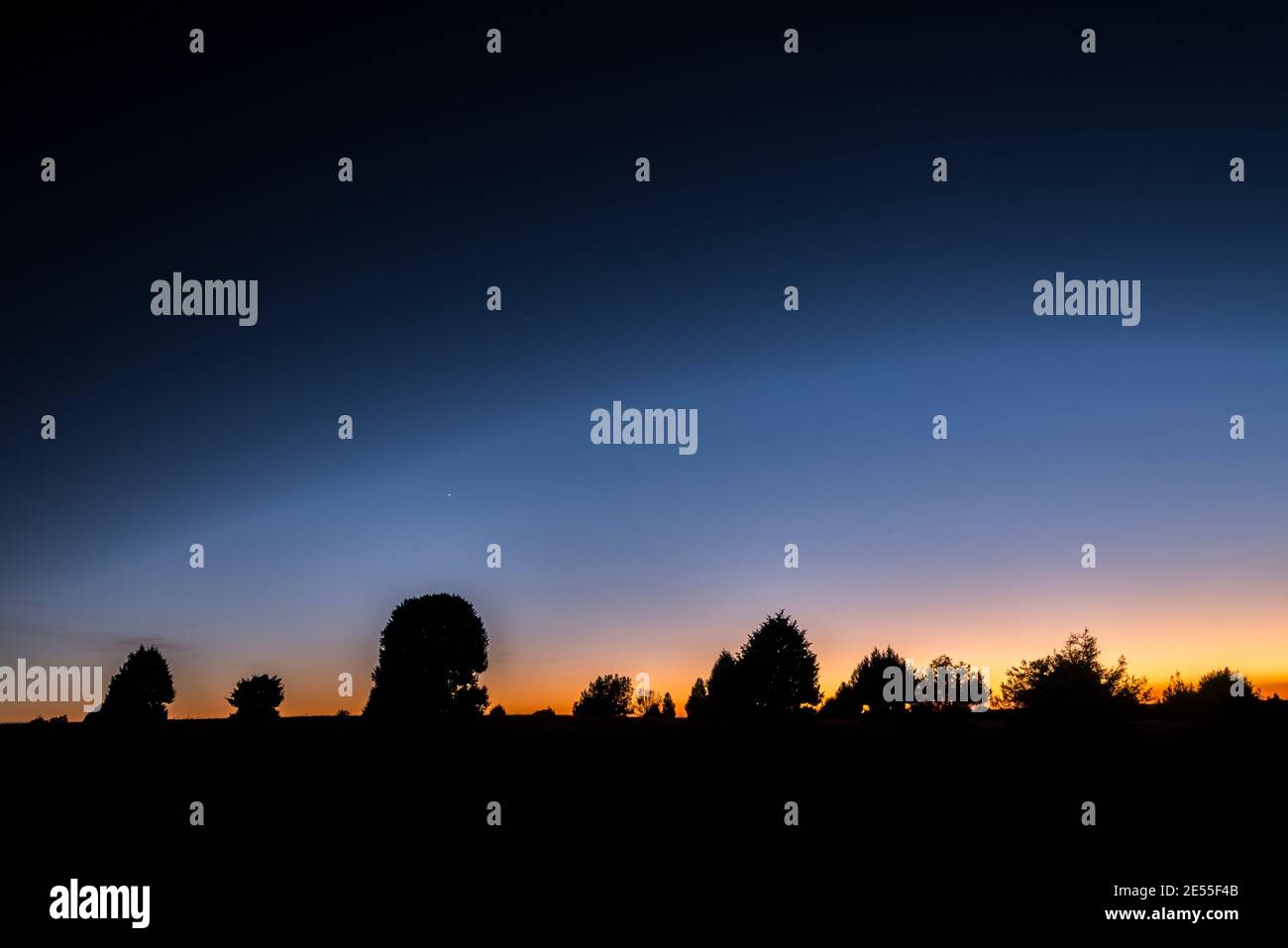 tramonto con cielo blu e arancione con silhouette di alberi con spazio per la copia Foto Stock
