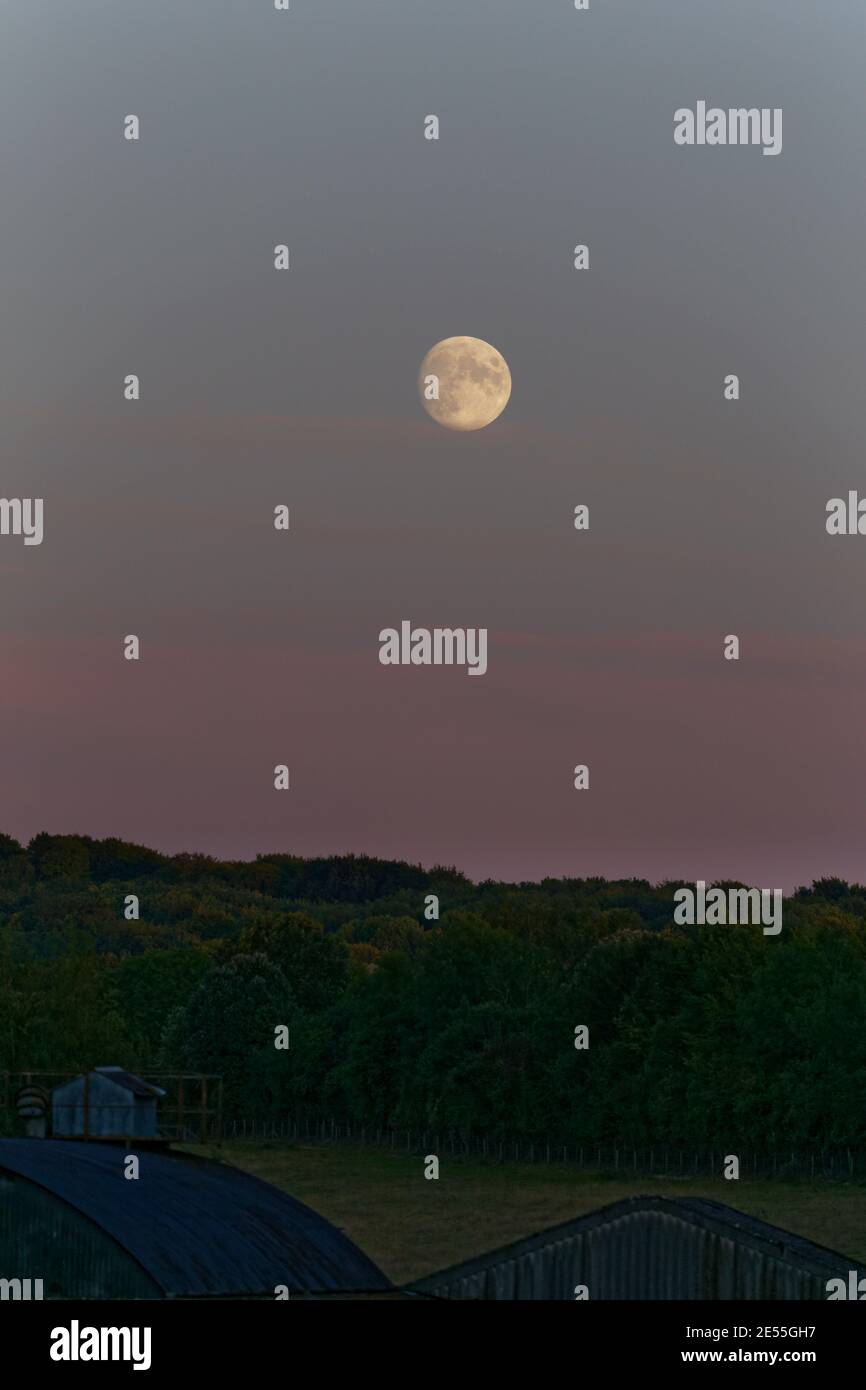 Luna piena in un cielo rosa di prima serata sopra la fattoria Edifici e alberi Wiltshire Foto Stock