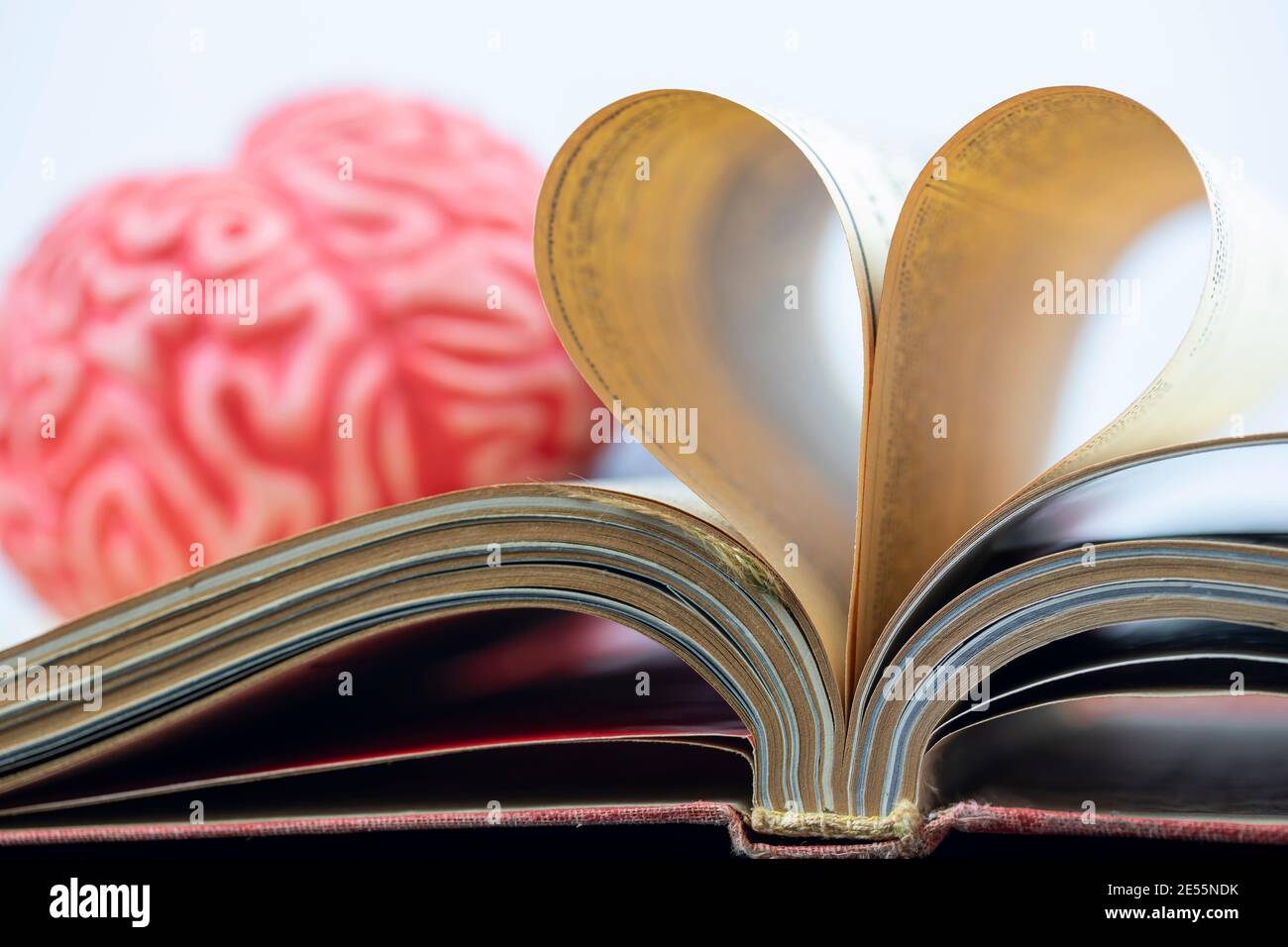 L'amore per leggere o imparare concetto di lingua, cervello e pagine di libro piegato in forma di cuore Foto Stock