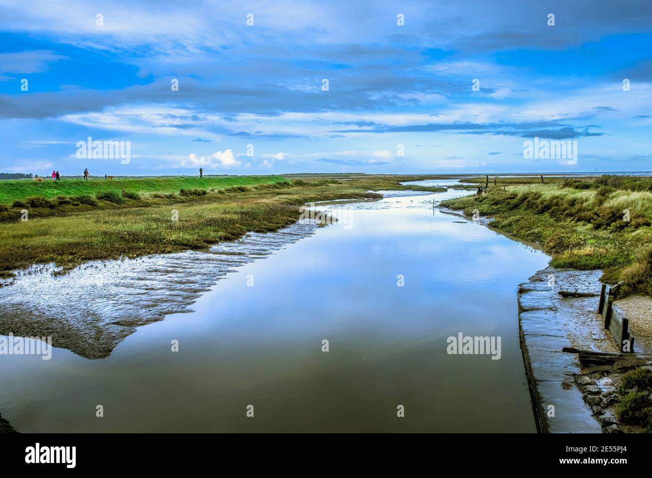 Un torrente Norfolk si snoda verso il mare. Foto Stock